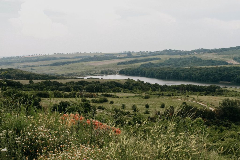 Винный тур в Краснодарский край, тур по винодельням, Винодельни краснодарского края, Авторский тур в Краснодарский край