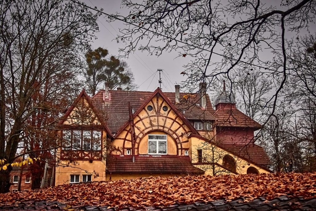 Осень в Калининграде