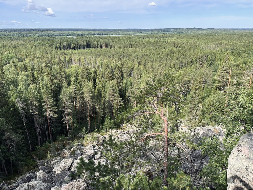 Авторский тур в Карелию, Гора Хийденвуори, Крыша Ладоги, Гора Вахтимяки, Ладожское озеро, Карельская Перезагрузка, Клуб Путешествий In Russia Today, Рысья гора