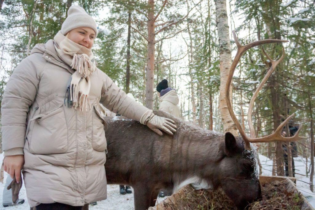 Авторский тур в Мурманск Русская Арктика, Северное сияние, Охота за Северным сиянием, Кольский полуостров