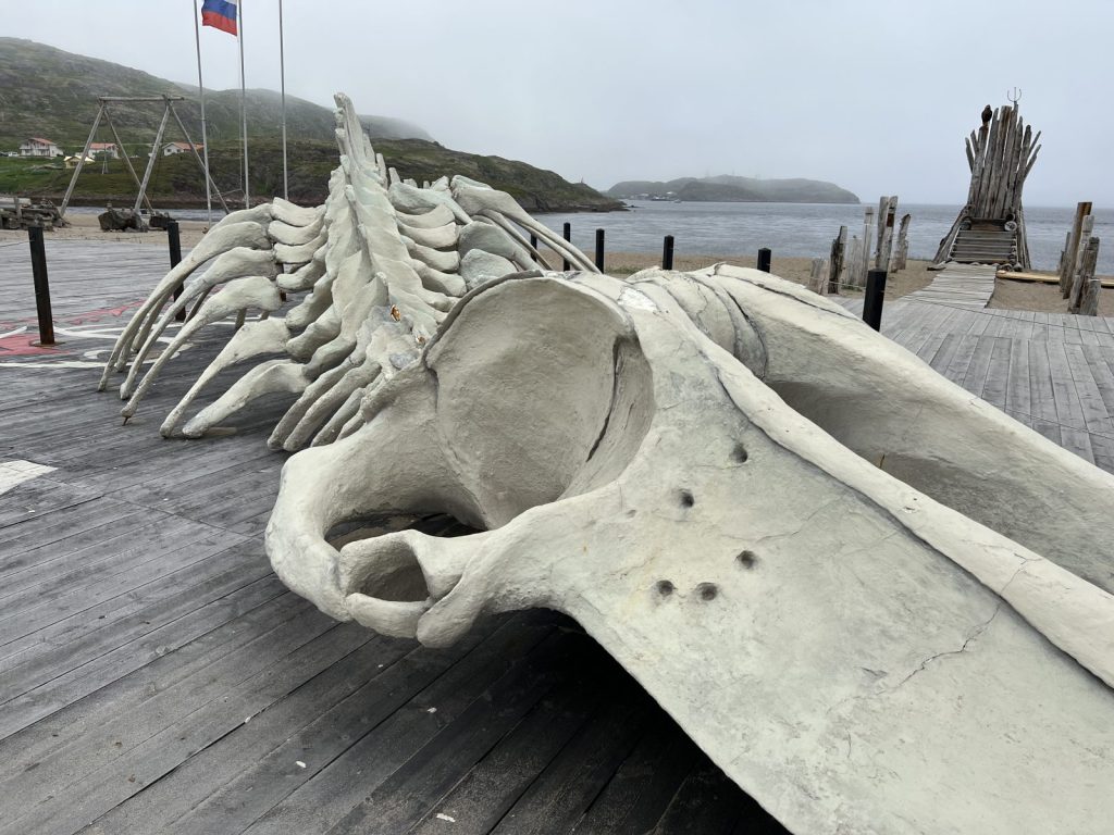 Авторский тур в Мурманск Русская Арктика, Северное сияние, Охота за Северным сиянием, Кольский полуостров