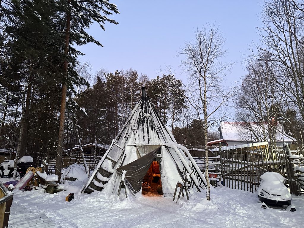 Кормление оленей, Саамская деревня, Авторский тур в Мурманскую область, Клуб Путешествий In Russia Today, Баренцево море, Кольский полуостров, хаски, Северные олени, Русская Арктика