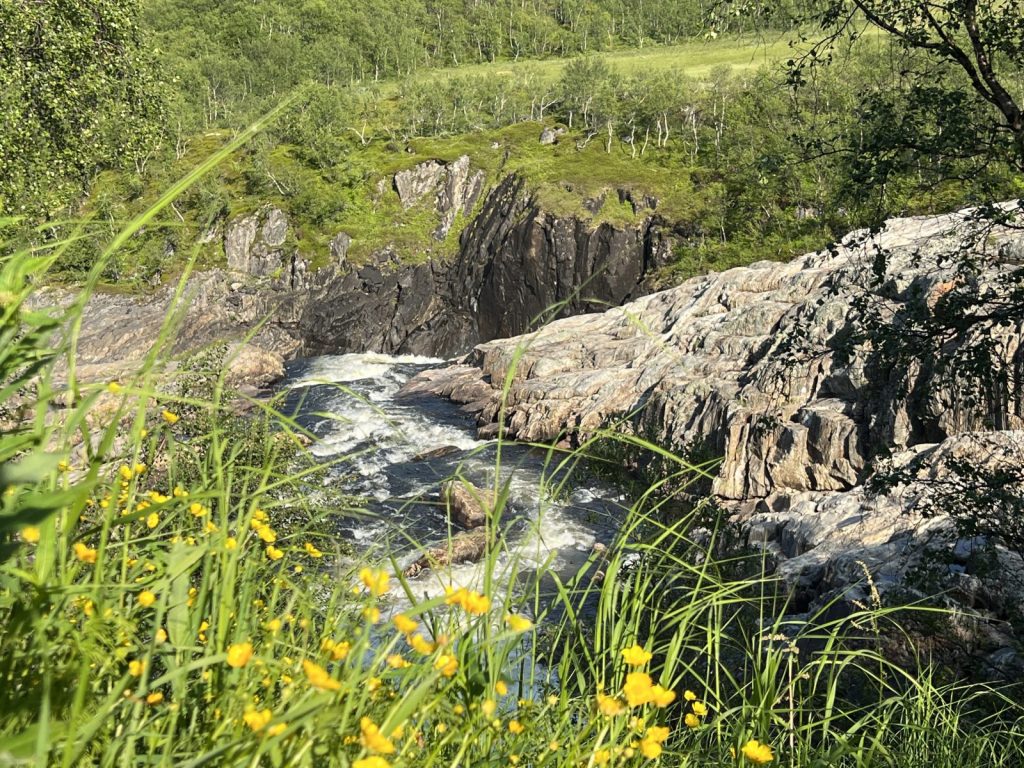 Авторский тур в Мурманск Дыхание Арктики, Киты в Баренцевом море, Кольский полуостров, Водопад Батарейский, Тундра