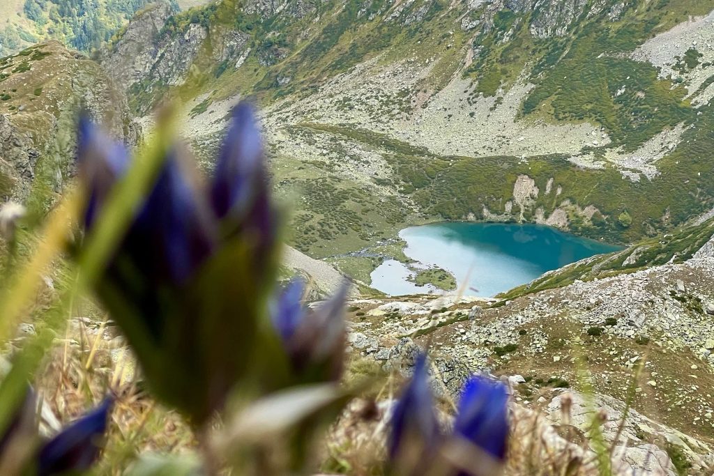 Тур в Архыз, трекинг в Архызе, Авторский тур в Архыз