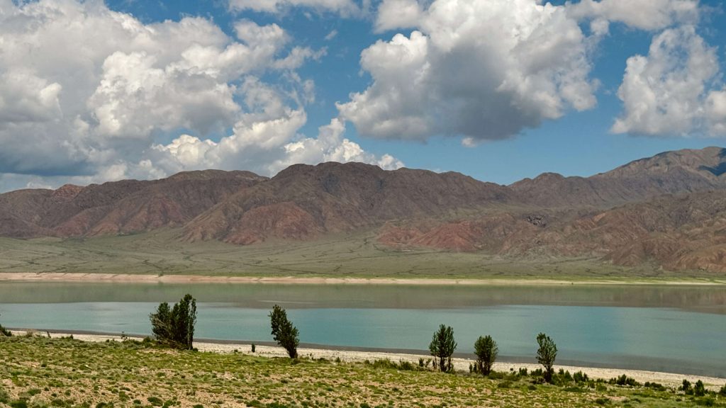 Tezza 6243